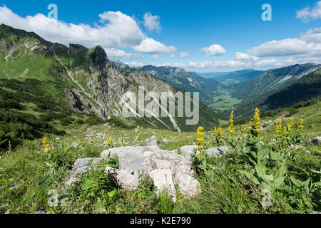 Avis de Hinterstein, Alpes d'Allgäu, vue d'une vallée, Bad Hindelang, Allgäu, Bavière, Allemagne Banque D'Images