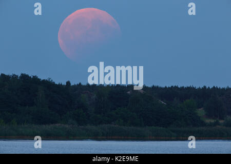 Eclipse lunaire partielle le 08/07/2017 Réserve de biosphère, Mittlere Elbe, Saxe-Anhalt, Allemagne Banque D'Images