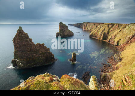 Les piles de la mer, Duncansby Head, John O Groats, Caithness, Ecosse, UK, avril 2015. Banque D'Images