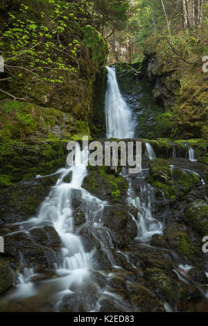 Dickson falls dans le parc national Fundy, Nouveau-Brunswick, Canada. Juin 2014. Banque D'Images