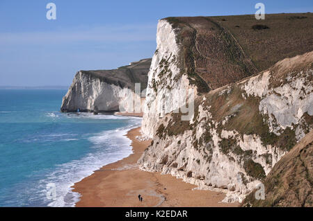 Paysage côtier de la plage à Swyre la tête la tête et bat, Jurassic Coast, Dorset, UK, mars. Banque D'Images