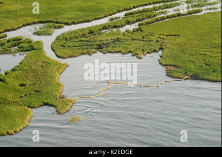 Vue aérienne du barrage de rétention des hydrocarbures protégeant Reine Bess Island, Grande Isle, Louisiane, Golfe du Mexique, USA, Août 2010 Banque D'Images