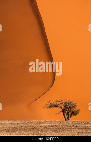 Dunes rouges de Sossusvlei, Désert du Namib, Namibie Banque D'Images