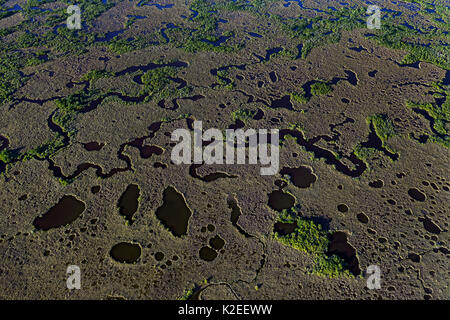 Le Parc National des Everglades, vue aérienne de zones humides, Floride, États-Unis, janvier. Banque D'Images