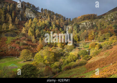 Pistyll Rhaeadr cascade en automne montrant la tête de la vallée - près de Llanrhaeadr-ym-Mochnant, Powys, au nord du Pays de Galles, Royaume-Uni, novembre 2016. Banque D'Images