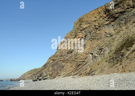 Chevron se replie de grès, schiste noir et de mudstone couches dans Millook rock Haven falaises, Cornwall, UK, avril 2014. Banque D'Images