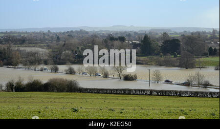 Voitures de la conduite sur route inondée par la rivière Avon déborder ses rives, Staverton, près de Chippenham, Wiltshire, Royaume-Uni, février 2014. Banque D'Images