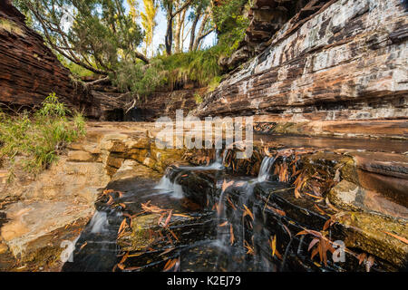 Gorge Kalamina, parc national de Karijini, Pilbarra, dans l'ouest de l'Australie, décembre 2015. Banque D'Images