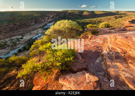 Murchison River Gorge de fenêtre de natures, le Parc National de Kalbarri, dans l'ouest de l'Australie, décembre 2015. Banque D'Images