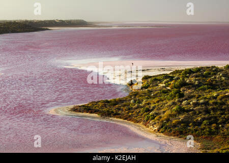 Femme marche sur les rives du Lagon à Hutt Rose Port Gregory, l'ouest de l'Australie, décembre 2015. Banque D'Images