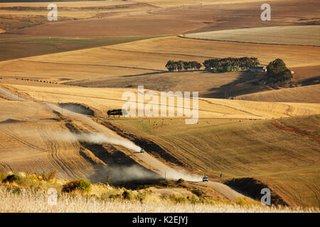 Terres agricoles vallonnées dans la région d'Overberg près de Villiersdorp, Western Cape, Afrique du Sud. Décembre 2014. Banque D'Images