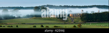 Vue panoramique de l'ancien château de Sherborne dans la brume à l'aube, Dorset, Angleterre, Royaume-Uni, août 2014. Banque D'Images