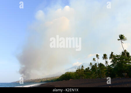 Incendie dans le Parc National de Tangkoko. Le feu a duré deux semaines, jusqu'à ce qu'il a été éteint par une tempête de la mer. Sulawesi, Indonésie, octobre 2015. Banque D'Images