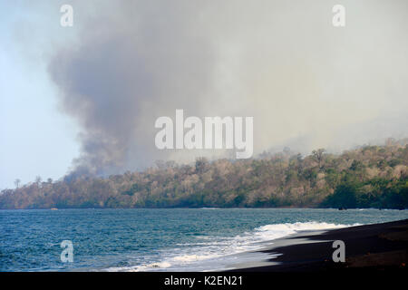 Incendie dans le Parc National de Tangkoko. Le feu a duré deux semaines, jusqu'à ce qu'il a été éteint par une tempête de la mer. Sulawesi, Indonésie, octobre 2015. Banque D'Images