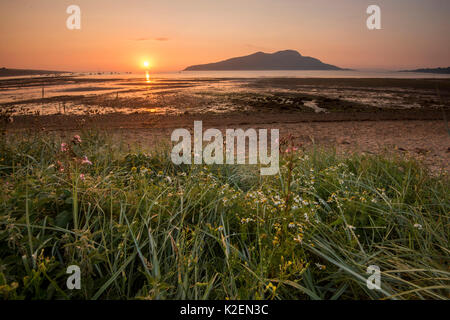 Lever du soleil sur la baie et le Lamlash zone interdite, de l'Arran de zone de protection marine, Isle of Arran, Ecosse, Royaume-Uni, août. Banque D'Images