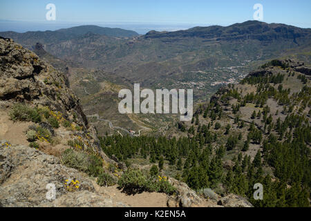 Vue sur l'ancienne paysage volcanique de la Caldera de Tejeda de Roque Nublo à Tejeda. Réserve de biosphère de l'UNESCO Gran Canaria, Gran Canaria, Îles Canaries. De juin. Mai 2016. Banque D'Images