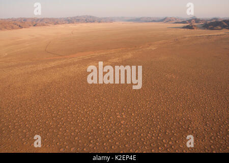 Vue aérienne de cercles de fées, Gerebes Plaine, Namibie, septembre 2011. Banque D'Images