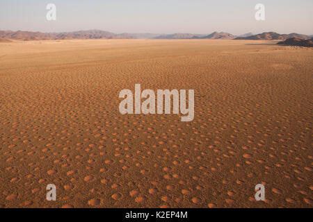 Vue aérienne de cercles de fées, Gerebes Plaine, Namibie, septembre 2011. Banque D'Images