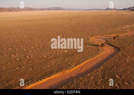 Vue aérienne de cercles de fées, Gerebes Plaine, Namibie, septembre 2011. Banque D'Images