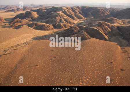 Vue aérienne de cercles de fées, Gerebes Plaine, Namibie, septembre 2011. Banque D'Images