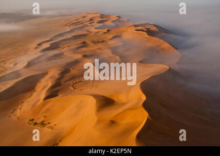 Vue aérienne de brouillard sur le désert du Namib, Namibie, septembre 2011. Banque D'Images