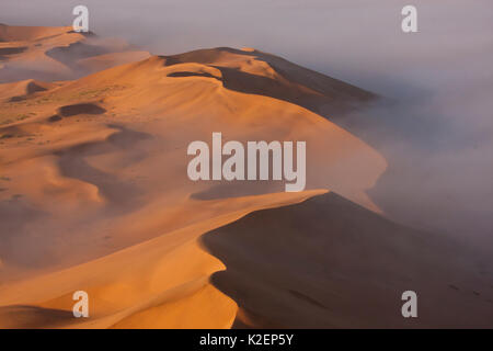 Vue aérienne de brouillard sur le désert du Namib, Namibie, septembre 2011. Banque D'Images