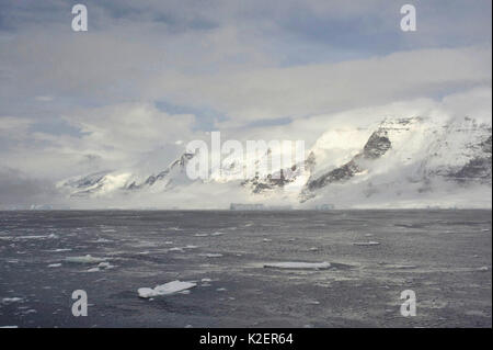 Sturge Island, îles Balleny, Antarctique, février. Banque D'Images
