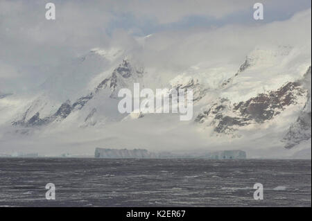 Sturge Island, îles Balleny, Antarctique, février. Banque D'Images