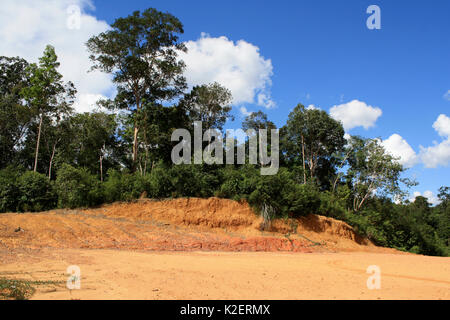 La destruction de la couche arable dans terres déboisées, centre de Kalimantan, la partie indonésienne de Bornéo. Juin 2010. Banque D'Images