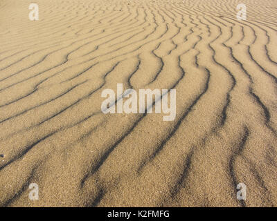Jaune sable déplacé par le vent Banque D'Images