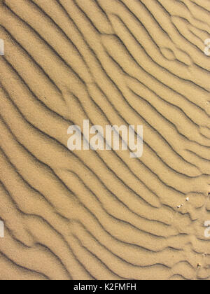 Jaune sable déplacé par le vent Banque D'Images