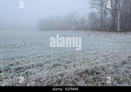 Champ clôturé avec givre Banque D'Images