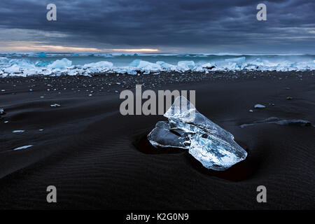 La plage noire de Jokulsarlon à marée basse est rempli de petites plaques de glace qui contrastent avec le sol. Banque D'Images