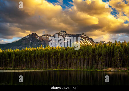 Superbe coucher de soleil sur le long de la forêt profonde Herbert Lake dans le parc national de Banff, avec les cimes enneigées des montagnes Rocheuses canadiennes, à l'arrière-plan. Banque D'Images