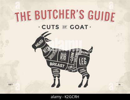 Coupe de viande. Poster Butcher diagramme, schéma - Bouc Illustration de Vecteur