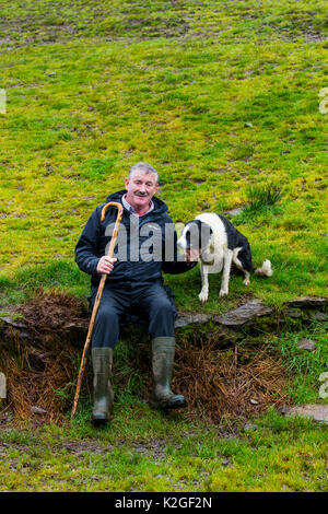 Agriculteur à procès dans Caitins de berger, Kells, Anneau du Kerry, Iveragh, comté de Kerry, Irlande, Europe. Septembre 2015. Banque D'Images