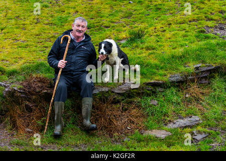 Agriculteur à procès dans Caitins de berger, Kells, Anneau du Kerry, Iveragh, comté de Kerry, Irlande, Europe. Septembre 2015. Banque D'Images