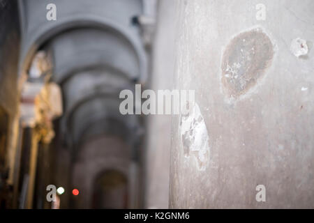 Duomo di San Martino, la cathédrale de Lucques, Toscane, Italie Banque D'Images