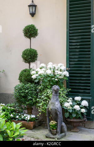Palazzo Malenchini, Florence, Italie, cour-jardin avec chic et topiaires statue chien Banque D'Images