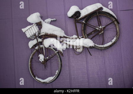 Vieux vélo rouillé couvert de neige accrochée à un mur pourpre. Banque D'Images