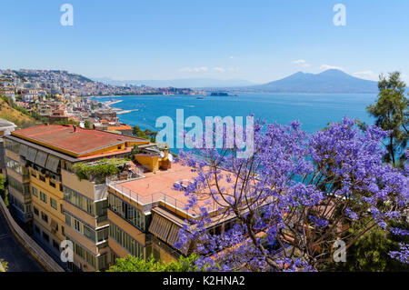 Vue panoramique de la Naples, avec le Vésuve en arrière-plan, Italie Banque D'Images