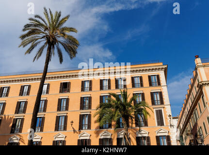 Palmiers sur la Piazza di Spagna à Rome, Italie Banque D'Images