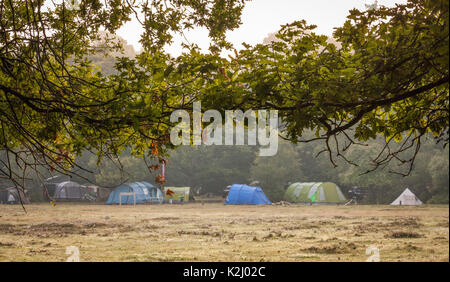 Nouvelle Forêt camping Banque D'Images