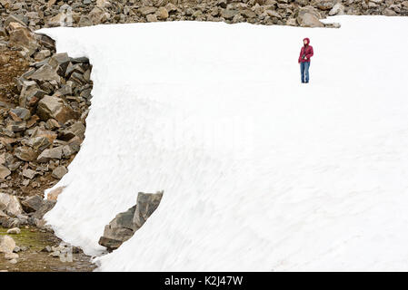 Jeune adulte femme debout sur la glace fondante avec appareil photo en main. Rochers visibles là où la glace se termine. Banque D'Images