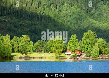 Paysage boisé le long de la rivière Otra dans le sud de la Norvège, avec bâtiment rouge parmi les arbres de la forêt. Banque D'Images