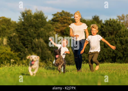 Photo d'une mère avec deux garçons et deux chiens qui s'exécute sur un pré Banque D'Images