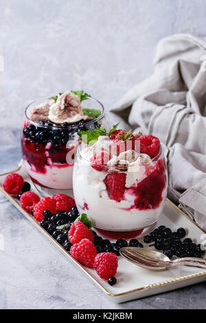 Dessert d'été traditionnels Eton Mess. La meringue brisée de crème fouettée, de confiture de framboises, bleuets frais et dans deux verres, décorés de Banque D'Images