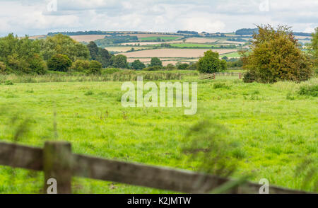 Vue sur les South Downs à travers champs dans la campagne à Arundel, West Sussex, Angleterre, Royaume-Uni. Banque D'Images