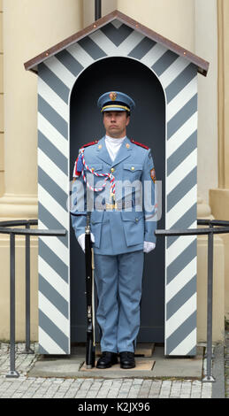 Un soldat tchèque qui monte la garde au Château de Prague Banque D'Images