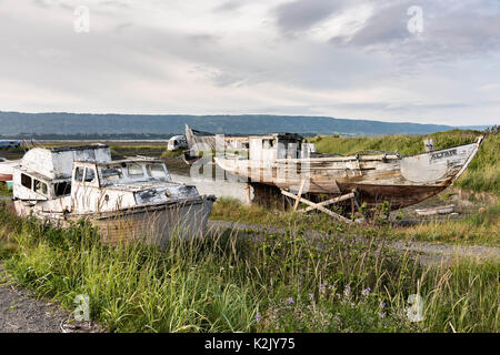 Vieux bateaux en bois abandonnés pourrissant siéger parmi les fleurs sauvages le long de la Baie d'Homer Spit sur Kamishak à Homer, Alaska. Banque D'Images